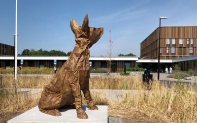 M.M.M.M.: Marjolijn Mandersloots Menagerie Mierlo