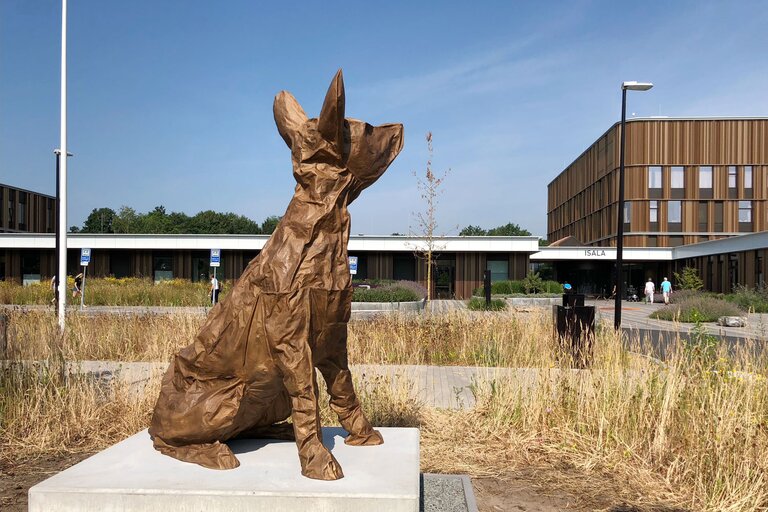 M.M.M.M.: Marjolijn Mandersloots Menagerie Mierlo